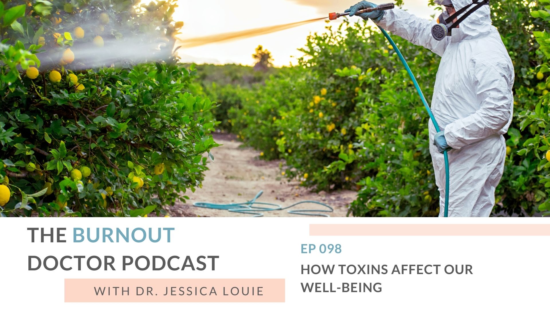 How Toxins affect our Well-being and Burnout. Eco-friendly non toxic living with Dr. Jessica Louie. The Burnout Doctor Podcast.